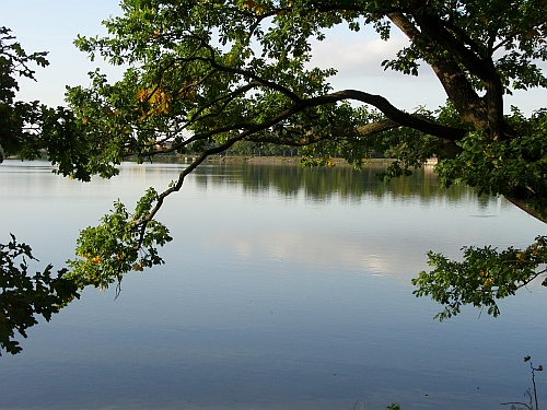 Třeboňské rybníky